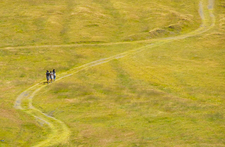 a summer trail