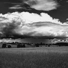 A Summer under clouds