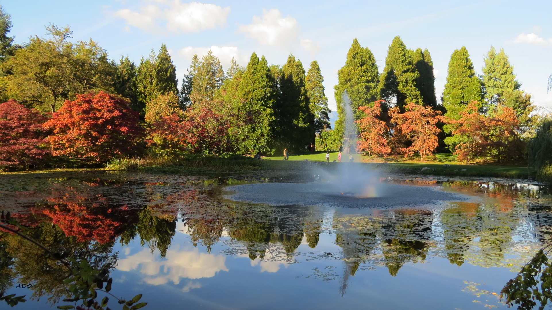 A Sunday Walk in the Park