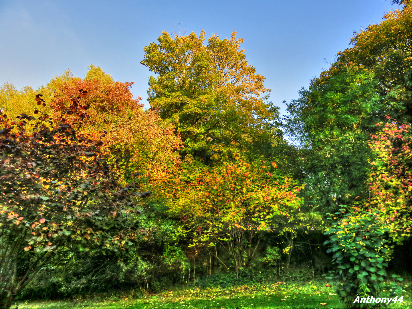 A sunny autumn afternoon.