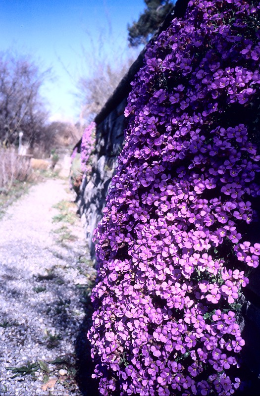 a sunny day in March