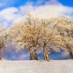 a sunny windy winter day