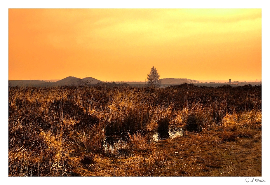 " a sunset at the Mechelen heather "