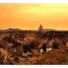 " a sunset at the Mechelen heather "