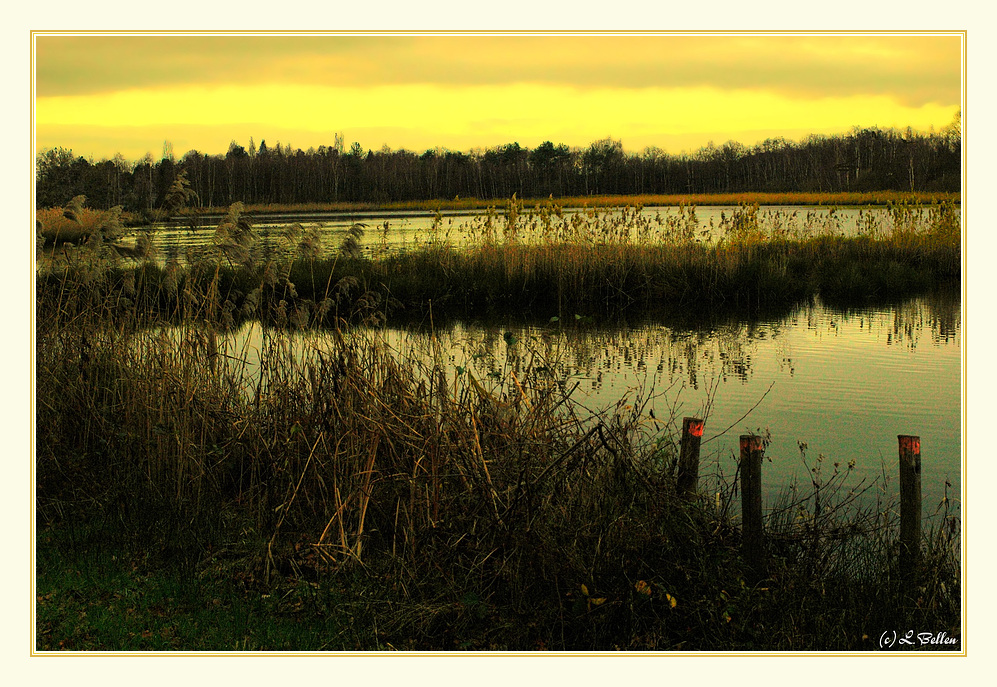 " a sunset on the Wijvenheide (2) "