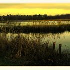 " a sunset on the Wijvenheide (2) "