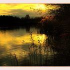 " a sunset on the Wijvenheide (3) "