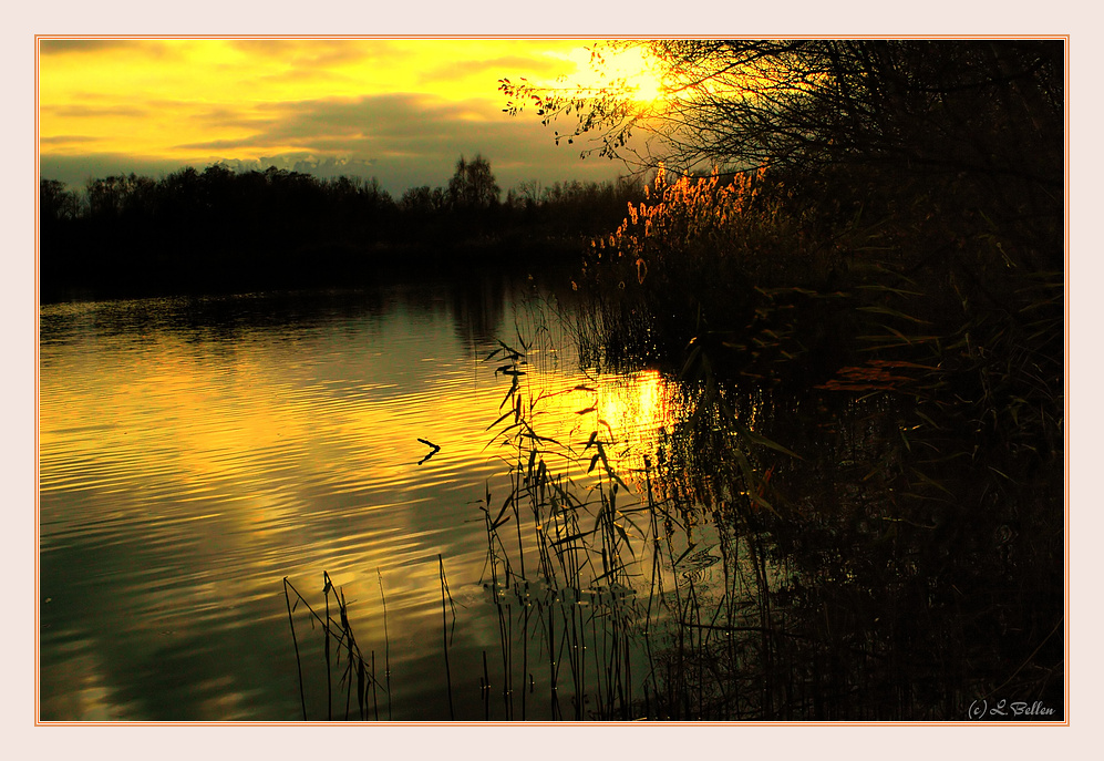 " a sunset on the Wijvenheide (3) "