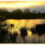 " a sunset on the "wijvenheide "