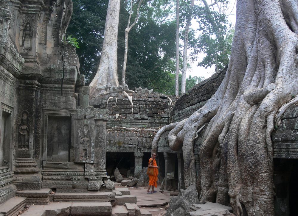 à Ta Prohm (Angkor)