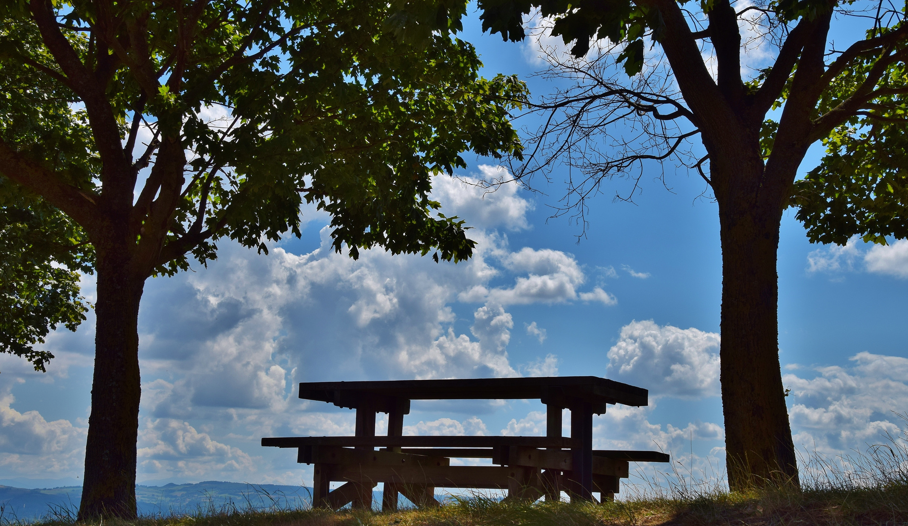 A table!