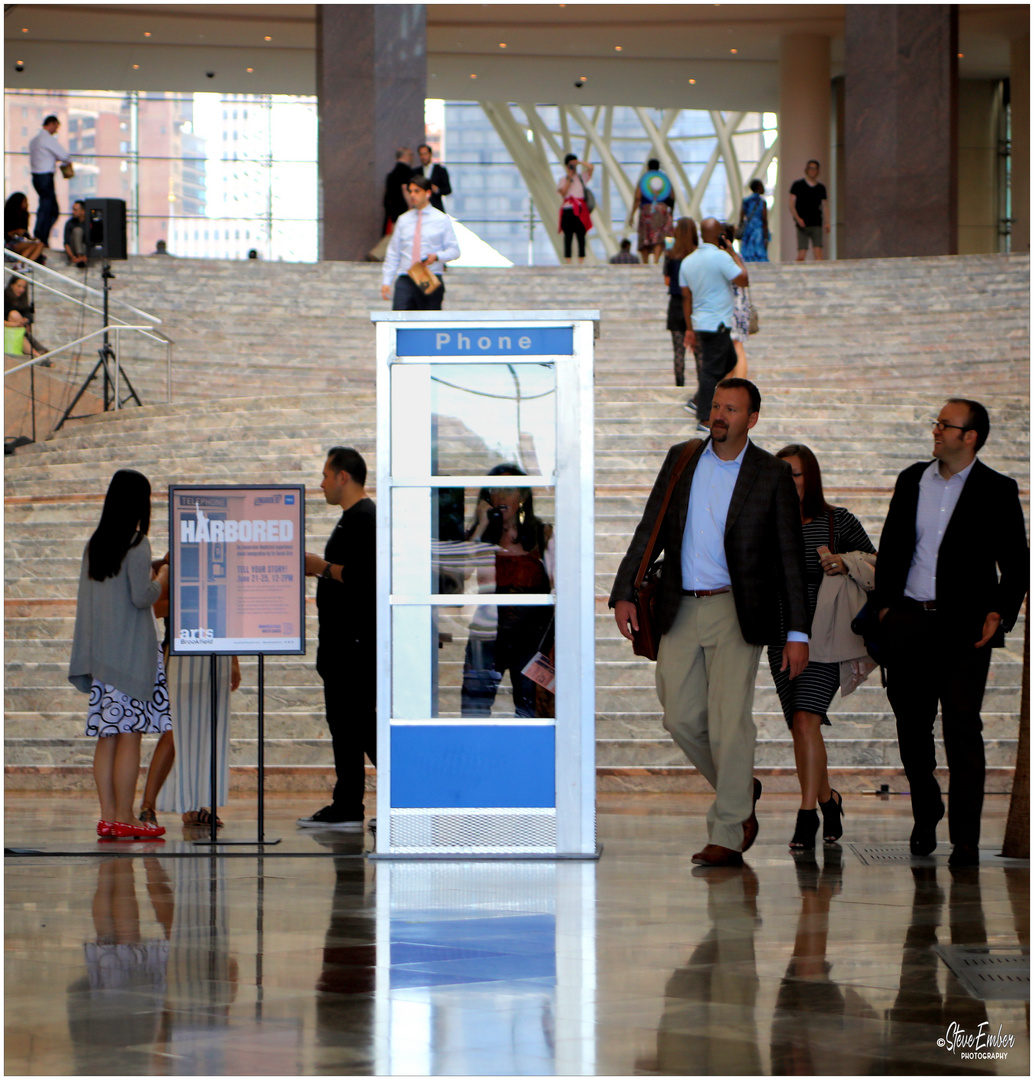 A Telephone Booth Grows in the Winter Garden