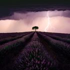A Tempestade «