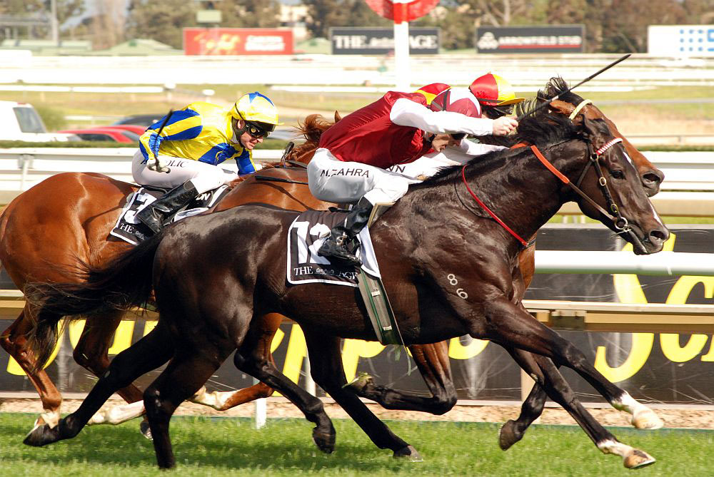 A Thoroughbred in full flight at the Caulfield races in Melbourne