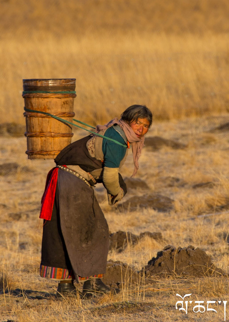 ??A Tibetan nomad was carring watter on the back