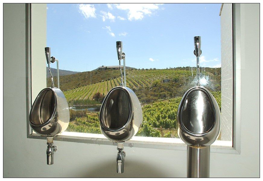 a toilet with a view