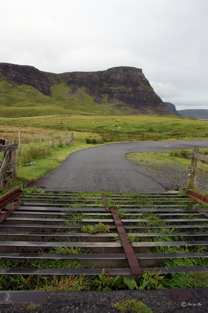 a touch of SCOTLAND - Cattle grid