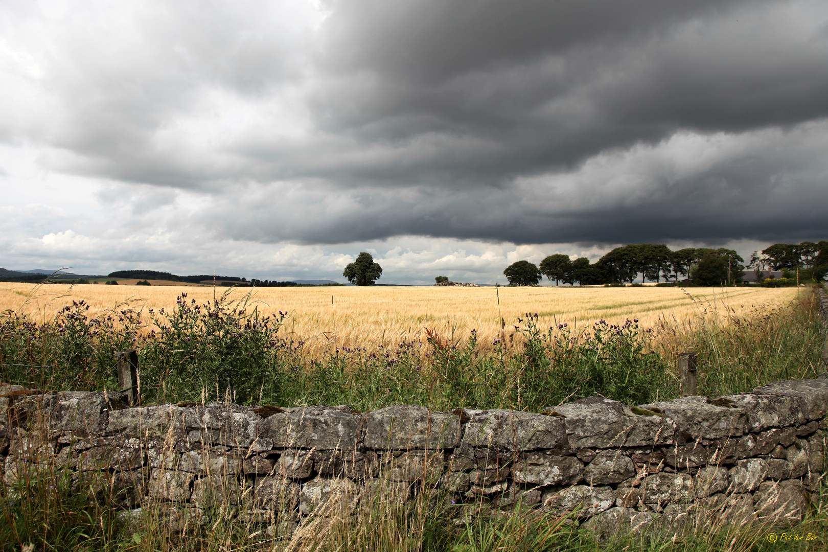 a touch of SCOTLAND - Landscape