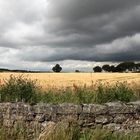 a touch of SCOTLAND - Landscape