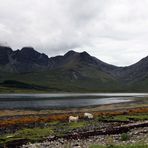 a touch of SCOTLAND - Loch Slapin