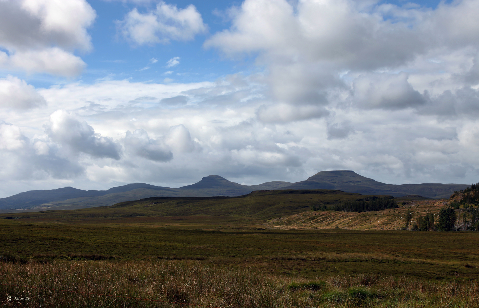 a touch of SCOTLAND - MacLeods Tables