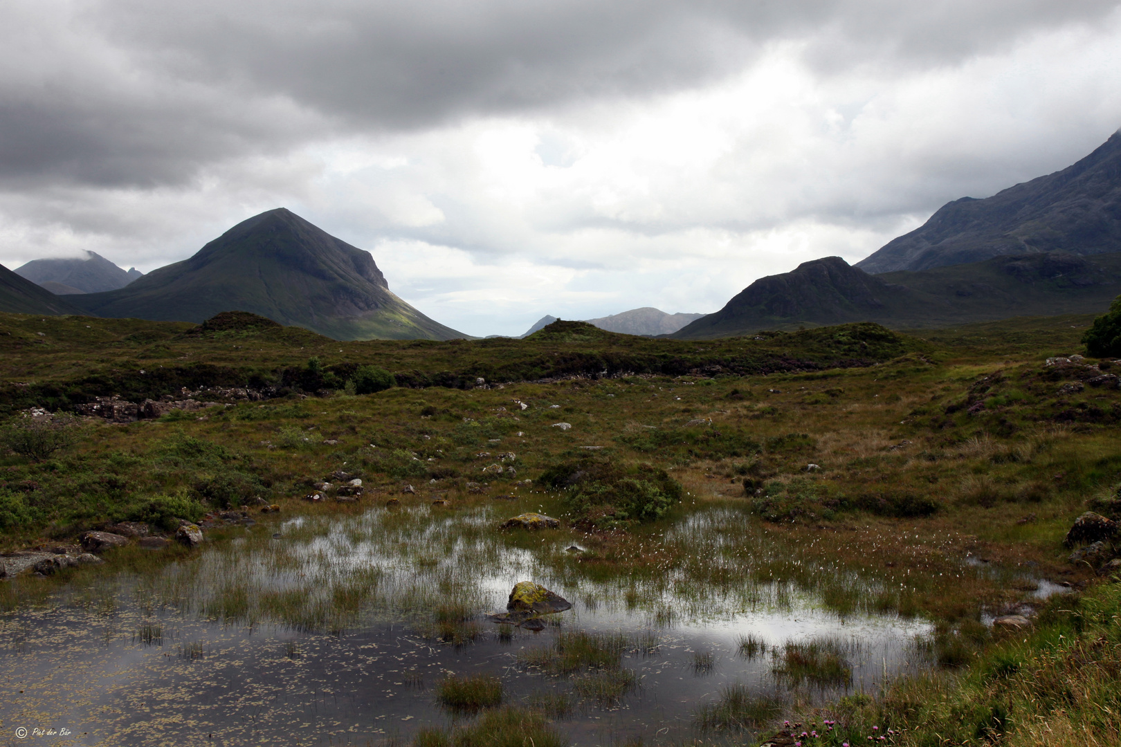 a touch of SCOTLAND - Midges