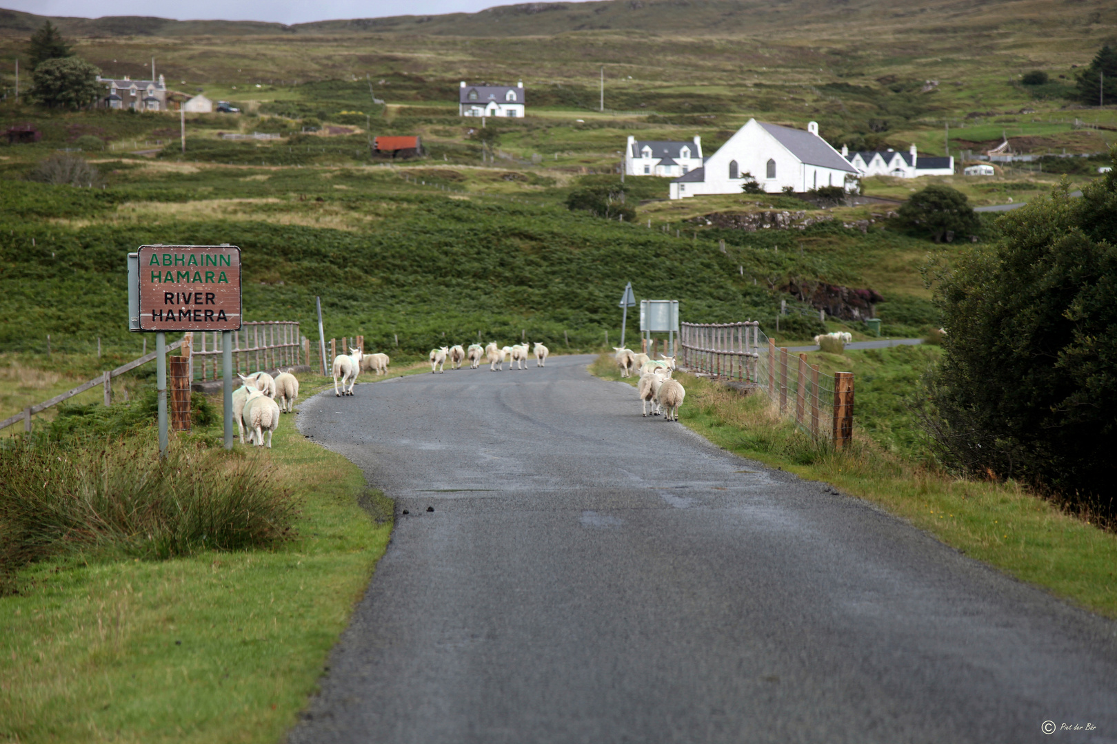 a touch of SCOTLAND - Rush Hour