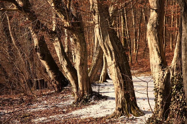 A Touch Of Snow