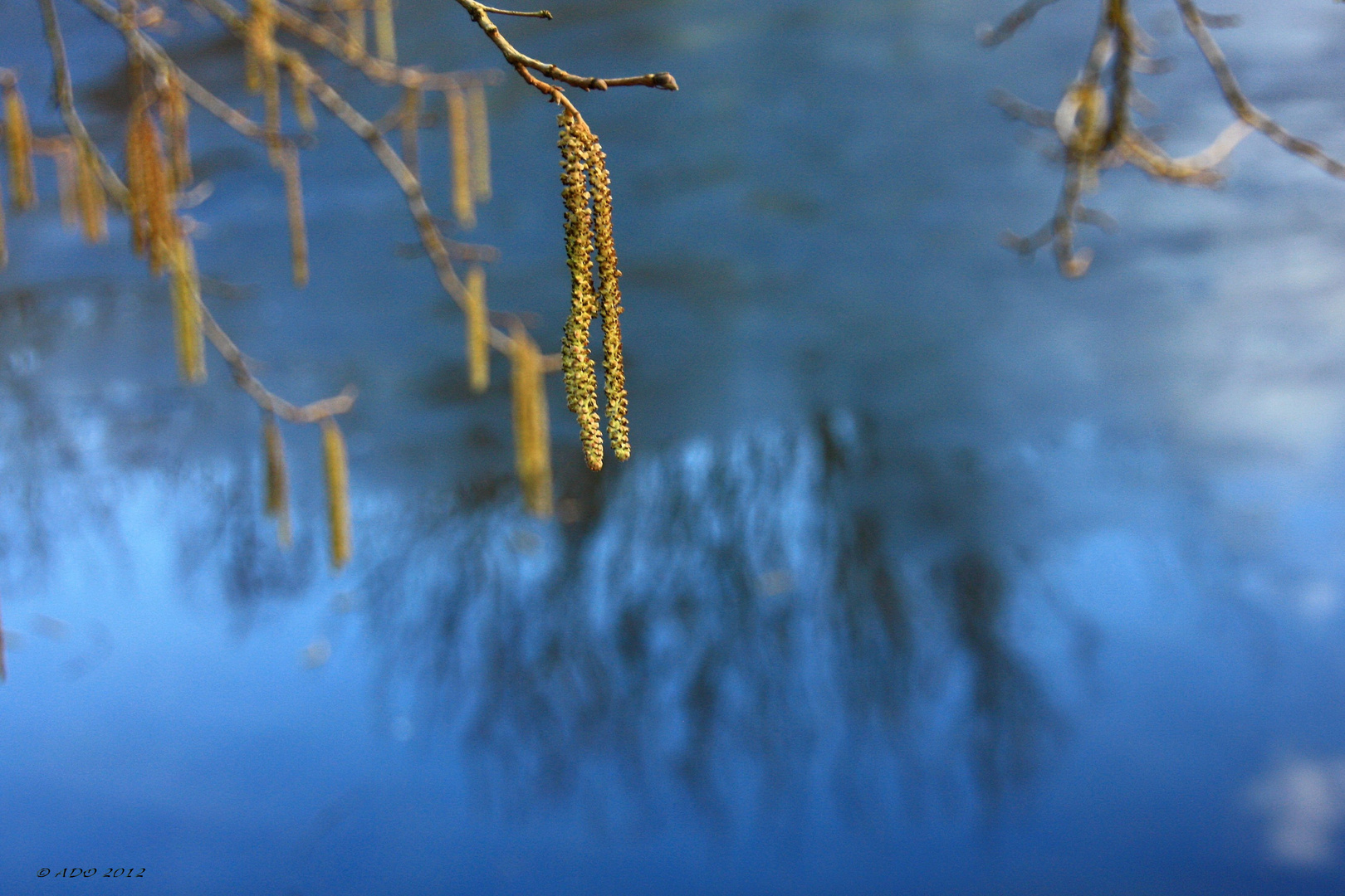 A Touch of Spring in February