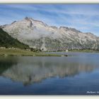 A tous les amoureux de la montagne et la nature en général !