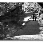 a Towpath Moment