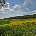 à travers champs dans le vexin normand