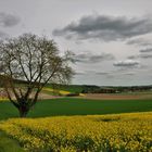 à travers champs dans le Vexin normand