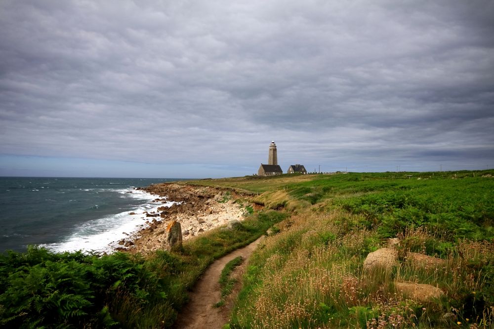 " A travers la lande "