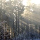 à travers les brumes de ce début de décembre 2008