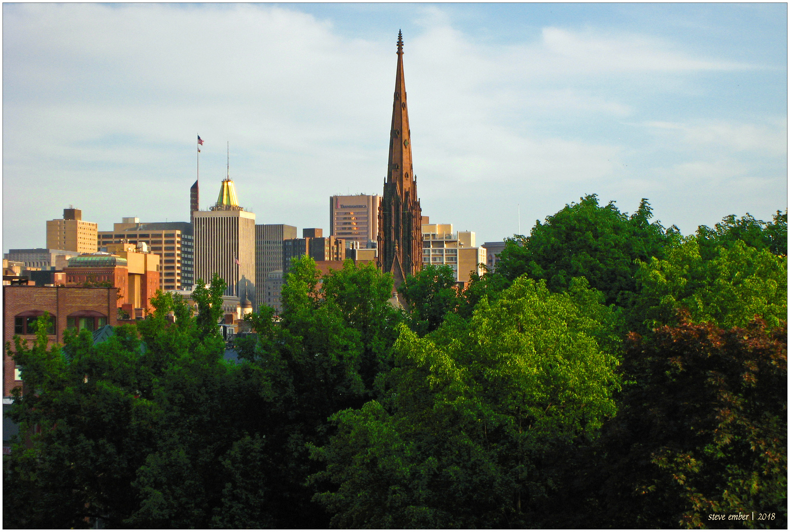 A Treetops View from Midtown Belvedere - A Baltimore Impression