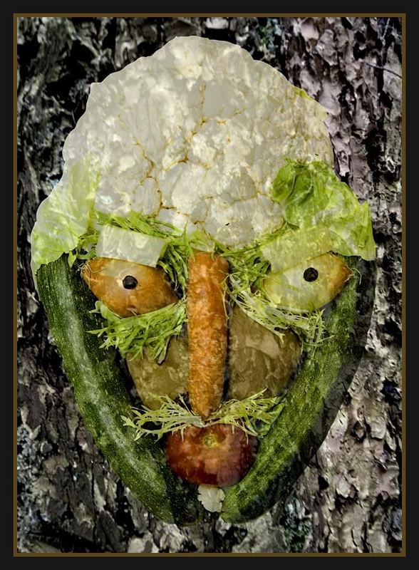 A tribute to Giuseppe Arcimboldo