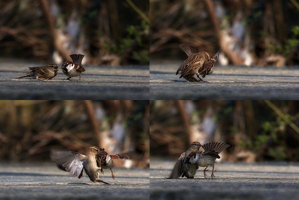 A true love story...