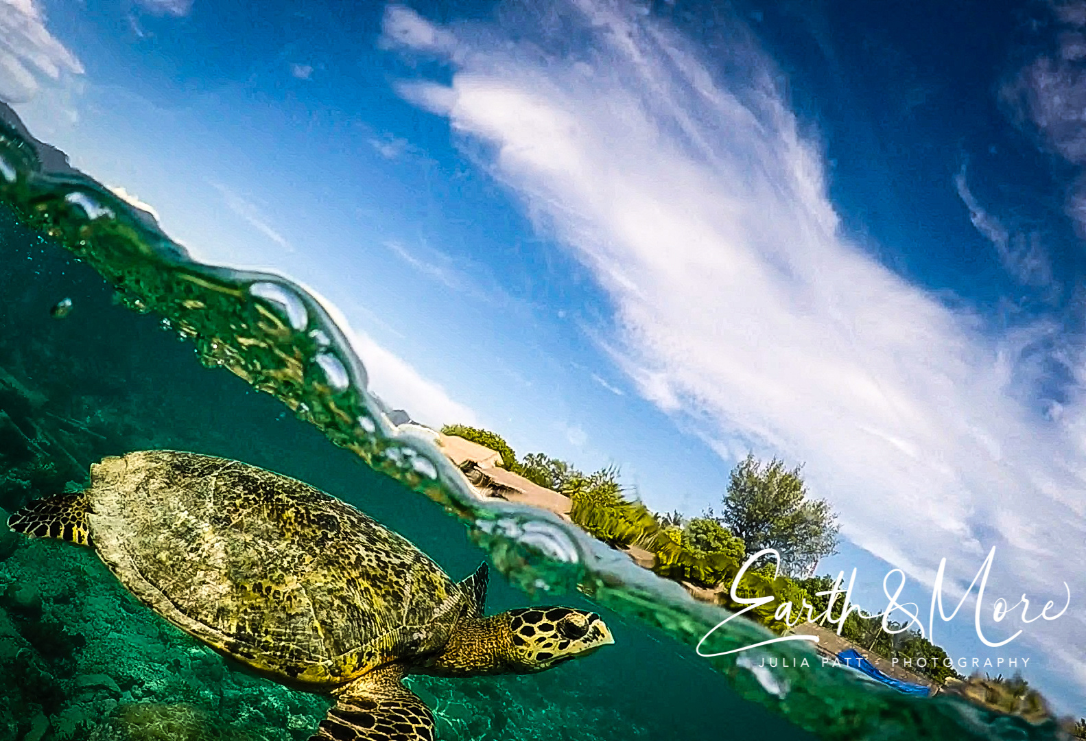 A turtle swimming at the beach of Gili Air