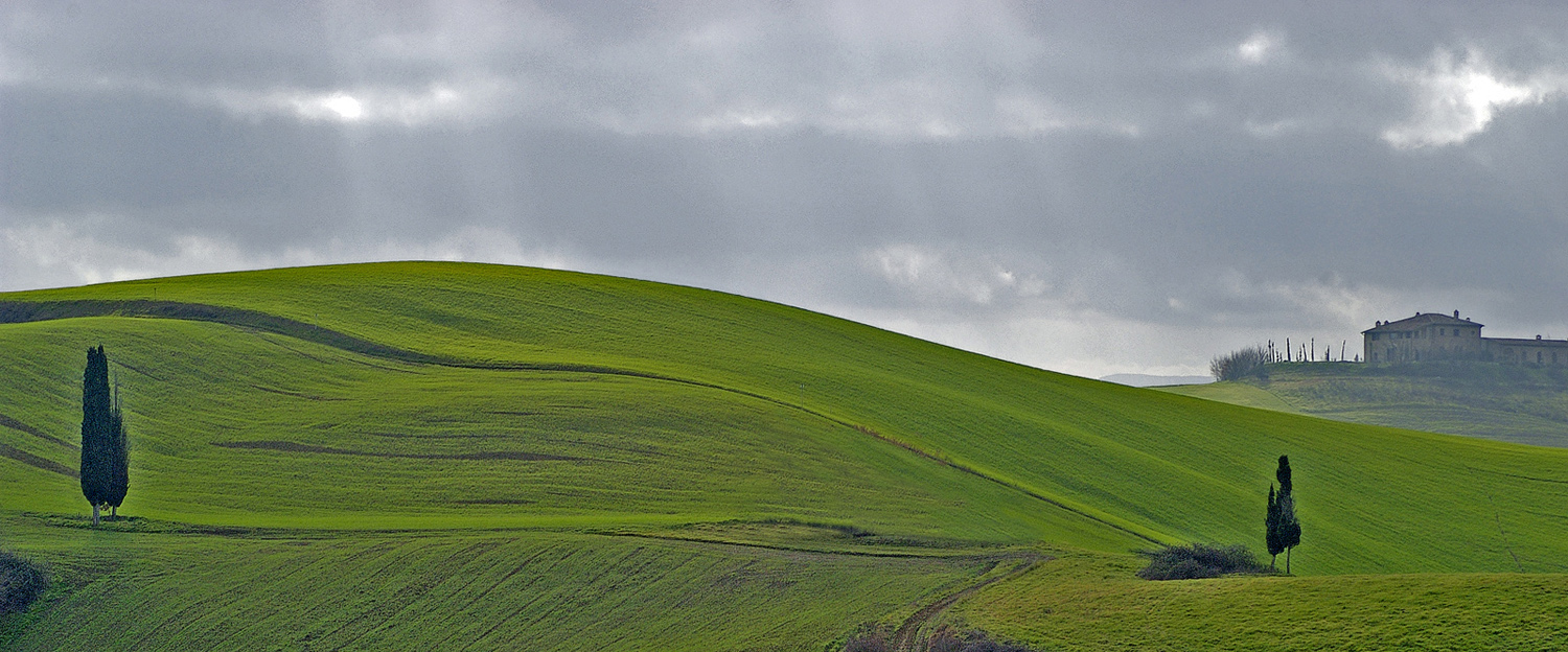 A Tuscan view