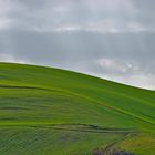 A Tuscan view