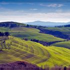 ...a Tuscany view....