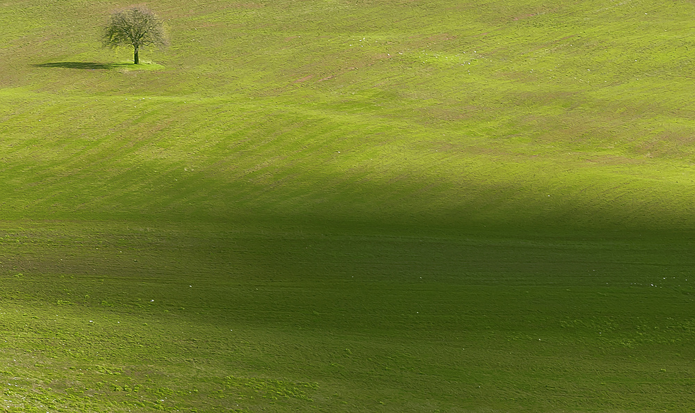 A tutto campo...