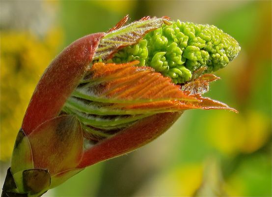 ...A u f b r u c h !!!..