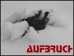 A U F B R U C H