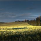 [ A U S Z E I T - 06 ] late afternoon in tuscany | 02