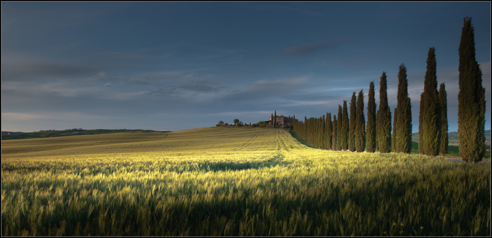 [ A U S Z E I T - 06 ] late afternoon in tuscany | 02