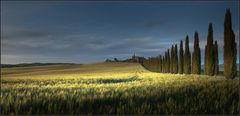 [ A U S Z E I T - 06 ] late afternoon in tuscany | 02