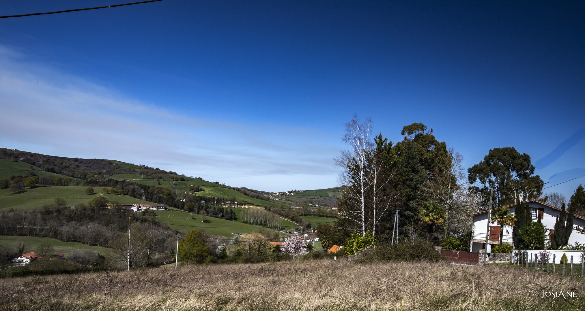 A UHART MIXE photo et image nature, printemps, montagne Images