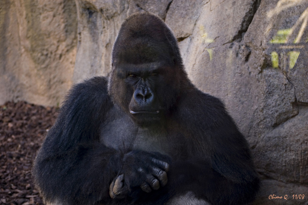 A ver si se decide a echar la foto...